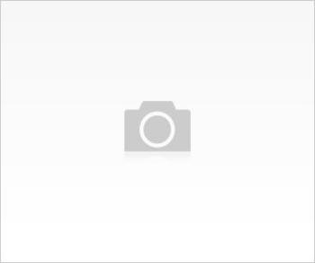 Diyabet ve Ayak Sağlığı